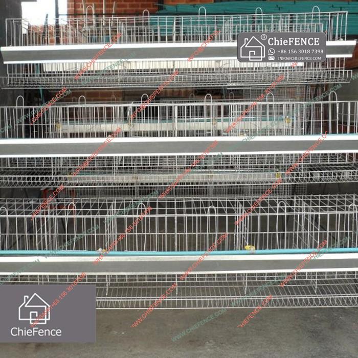 Low Price Plastic Chicken Wire Mesh for Cages - China Low Price