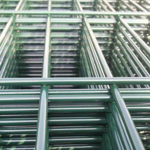 868/656 Double Wire Welded Mesh Fencing/Nylofor 2D Mesh Fencing/Double bar mat fence in Qatar